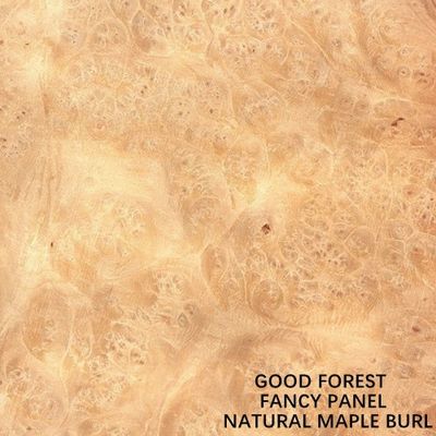 L'érable de fantaisie Burl Plywood/forces de défense principale/conseil de particules 2440/2745mm pour les portes intérieures évaluent le fabricant E0/E1/P1/P2