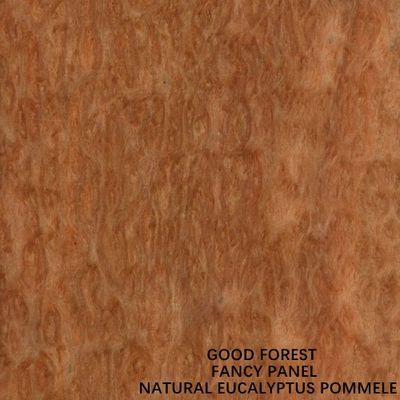 Taille spéciale de longueur du grain 2745mm de pommeau de panneau de contreplaqué d'eucalyptus pour la décoration d'hôtel