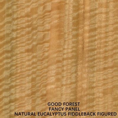 Un Normal Eucalyptus Fiddleback figuré fantaisie contreplaqué panneau MDF 3/5/9/12/15/18/25/30mm épaisseur