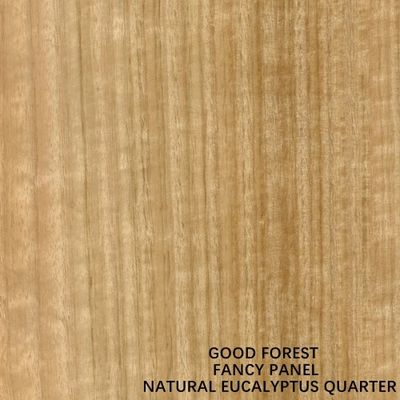 Panneau de contreplaqué de fantaisie normal pour la taille standard décorative d'intérieur 2440/2745mm