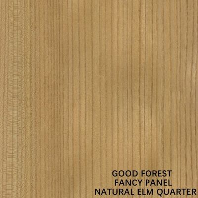 Panneaux de décoration de grain droit de placage en bois d'orme naturel fait face avec la peinture de panneau de particules de forces de défense principale libre pour des meubles