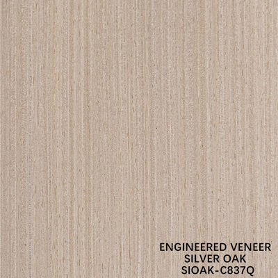 Feuille de placage de poire argentée technique, coupe quartier, bon prix pour panneaux décoratifs 2500-3200mm OAK-1Q / 2Q / 070Q / 181Q / 837Q
