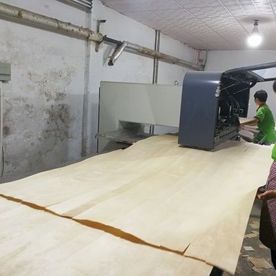 Couleur claire tridimensionnelle pour portes et fenêtres