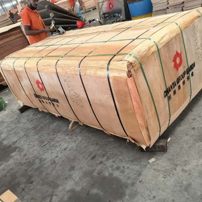 2440*1220 Pièce entière Fabrique de placage de bois de l'Okumé au Gabon 0,2 mm - 0,4 mm