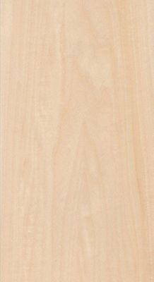 Véritable faisceau de bois de bassin coupé pour la taille 13 cm vers le haut coupé plat droit pour la feuille de visage du cabinet