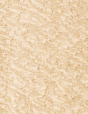 Ajouter de l'élégance à l'espace Panneaux de placage d'érable Ombres floculantes Manifestations de texture