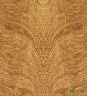 Faisceau de bois massif de chêne blanc américain tranché droit pour le panneau sophistiqué et placage teint épaisseur 0,45 mm