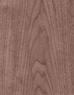 Amérique Noix noire Faim de bois naturel en tranches droites pour meubles et planchers de panneaux de luxe d'une épaisseur de 0,18 à 0,55 mm