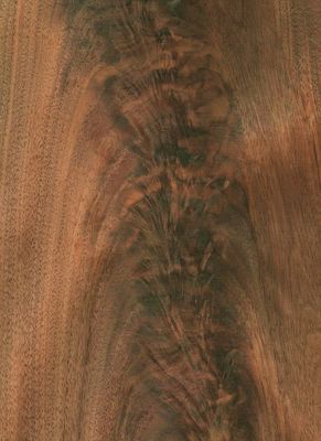 Amérique Noix noire Faim de bois naturel en tranches droites pour meubles et planchers de panneaux de luxe d'une épaisseur de 0,18 à 0,55 mm