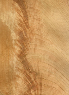 Coupe plate de feuille de faisceau de bois de cerisier américain naturel 2200-3200mm Taille normale Pour la décoration de meubles