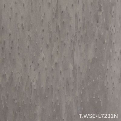 Nouveau design de faisceau de bois d'arbre reconstitué pour l'ingénierie décorative TSP-L0231N/l7231N pour l'intérieur de la voiture 0,5 mm d'épaisseur