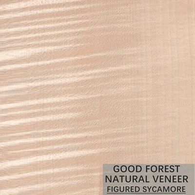 Le bois figure par sycomore naturel plaquent 0.3mm - 0.5mm pour les portes intérieures