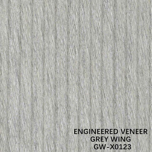 La décoration 3100mm d'OIN a machiné le placage en bois Wing Exotic Grain Grey Color peu commun