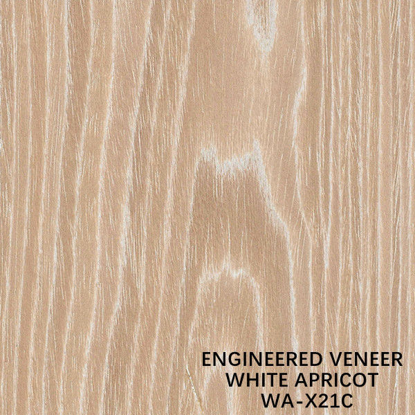 La coupe plate X21C d'abricot blanc a machiné le placage en bois pour l'ODM de visage de Cabinet/peau de porte