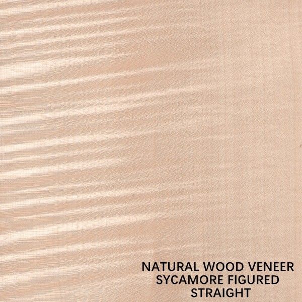 Le quart figure naturel de placage en bois de sycomore de l'Europe a coupé l'épaisseur 0.5mm de grain droit pour la mort et le Cabinet