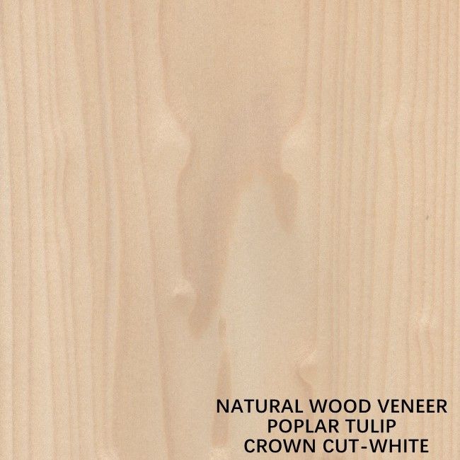 Tulip American Natural Poplar Wood plaquent la couronne coupée plate blanche pour des portes