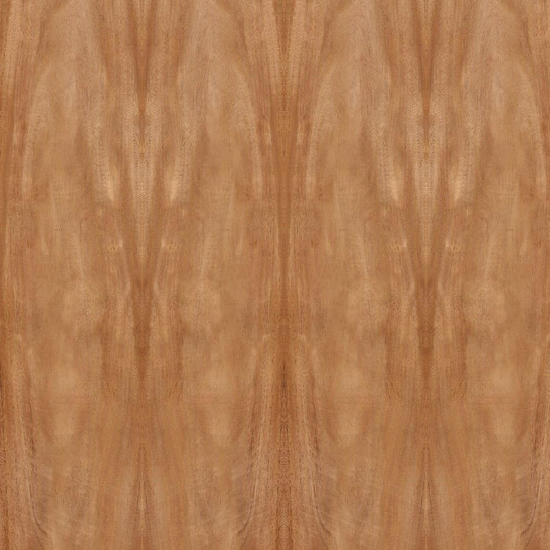 Taille standard 2440*1220mm de grain de couronne de placage en bois d'acajou naturel de l'Afrique pour le Cabinet FSC de porte