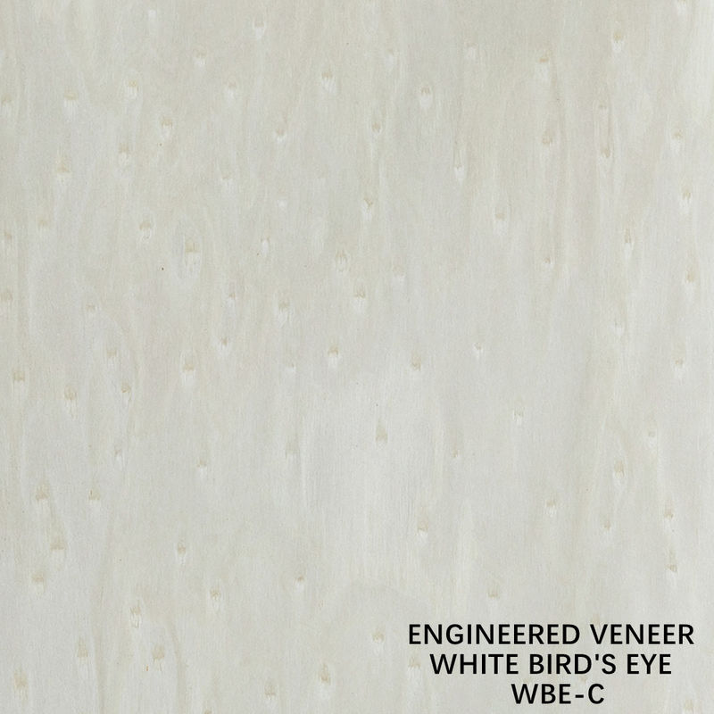 Texture irrégulière Bois placage écorce et racine œil d'oiseau blanc 2500-3100 mm à l'intérieur