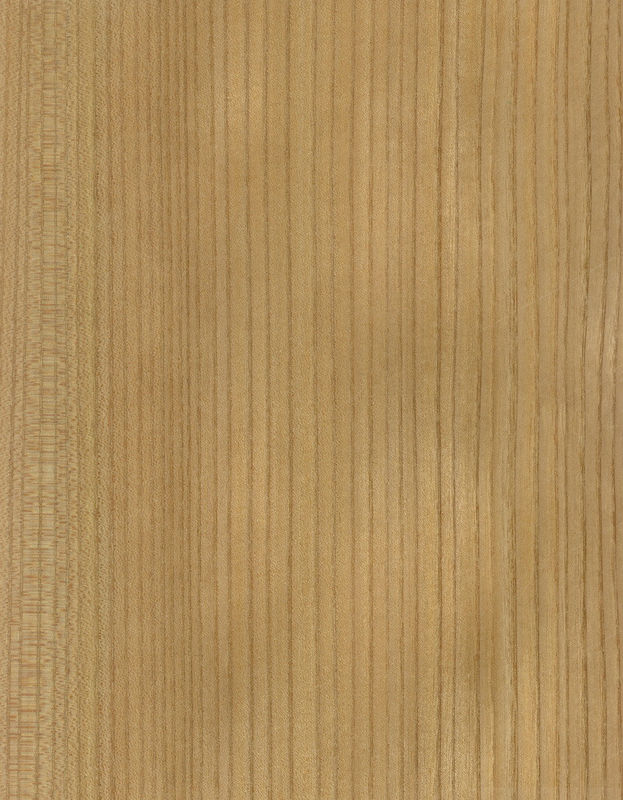 En bois massif, feuilles d'orme américain de qualité A pour la couronne coupée en quart de grain, couleur naturelle pour la porte 3200 mm vers le haut
