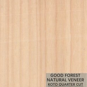 Placage en bois naturel de KOTO de flocon de grain populaire pour le processus de teinture