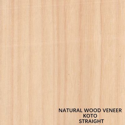 Le quart naturel de placage en bois de Koto de l'Afrique a coupé le grain droit que la bonne qualité pour le processus de teinture peut être adaptée aux besoins du client