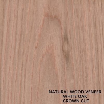 Le bois de chêne naturel américain plaquent la couronne coupée plate a coupé l'épaisseur 0.5-0.55mm de catégorie du grain D.C.A. pour le visage Chine de Cabinet