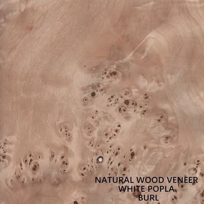Le bois naturel de peuplier de l'Europe plaquent Mapa Burl Grain High Quality Thickness 0.5mm pour l'instrument de musique