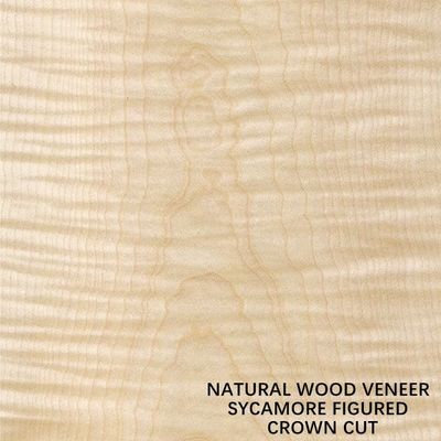 L'Europe le bois figure que naturel de sycomore plaquent la couronne coupée plate a coupé l'épaisseur 0.5mm pour la mort et le Cabinet