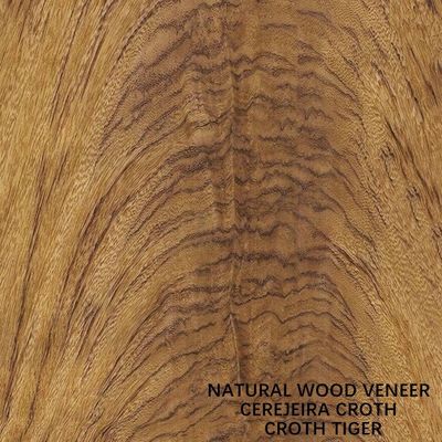 Grain naturel de l'Amérique Cherry Crotch Veneer Specially Tiger pour la décoration d'hôtel