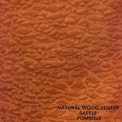 Grain exotique Pommele Sapele de placage naturel en bois de l'Afrique pour des pianos et des visages de meubles