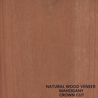 Coupe coupée plate de couronne de placage en bois d'acajou naturel de meubles et d'instruments de musique