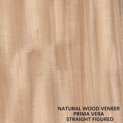 Le quart a coupé Prima Vera Veneer For Doors And figure droite irrégulière Windows