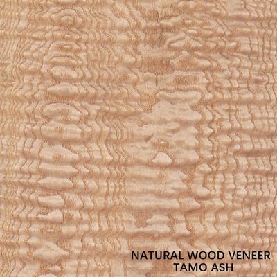 épaisseur Tamo Ash Veneer For Car Interior naturel de 0.5mm et instrument de musique