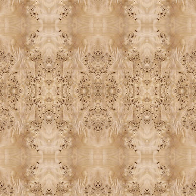 Le panneau de fantaisie a fait face à l'approvisionnement blanc naturel de la Chine de taille rallongé par 2440/2745mm de décoration de Burl Wood Veneer For Hotel de peuplier