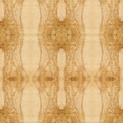 Fantaisie rallongée Ash Burl Oliver Wood Veneer Book Match naturel de taille épissant pour l'OIN de décoration d'hôtel