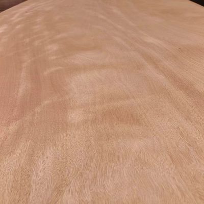 2440*1220 Pièce entière Fabrique de placage de bois de l'Okumé au Gabon 0,2 mm - 0,4 mm