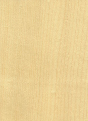Ajouter de l'élégance à l'espace Panneaux de placage d'érable Ombres floculantes Manifestations de texture